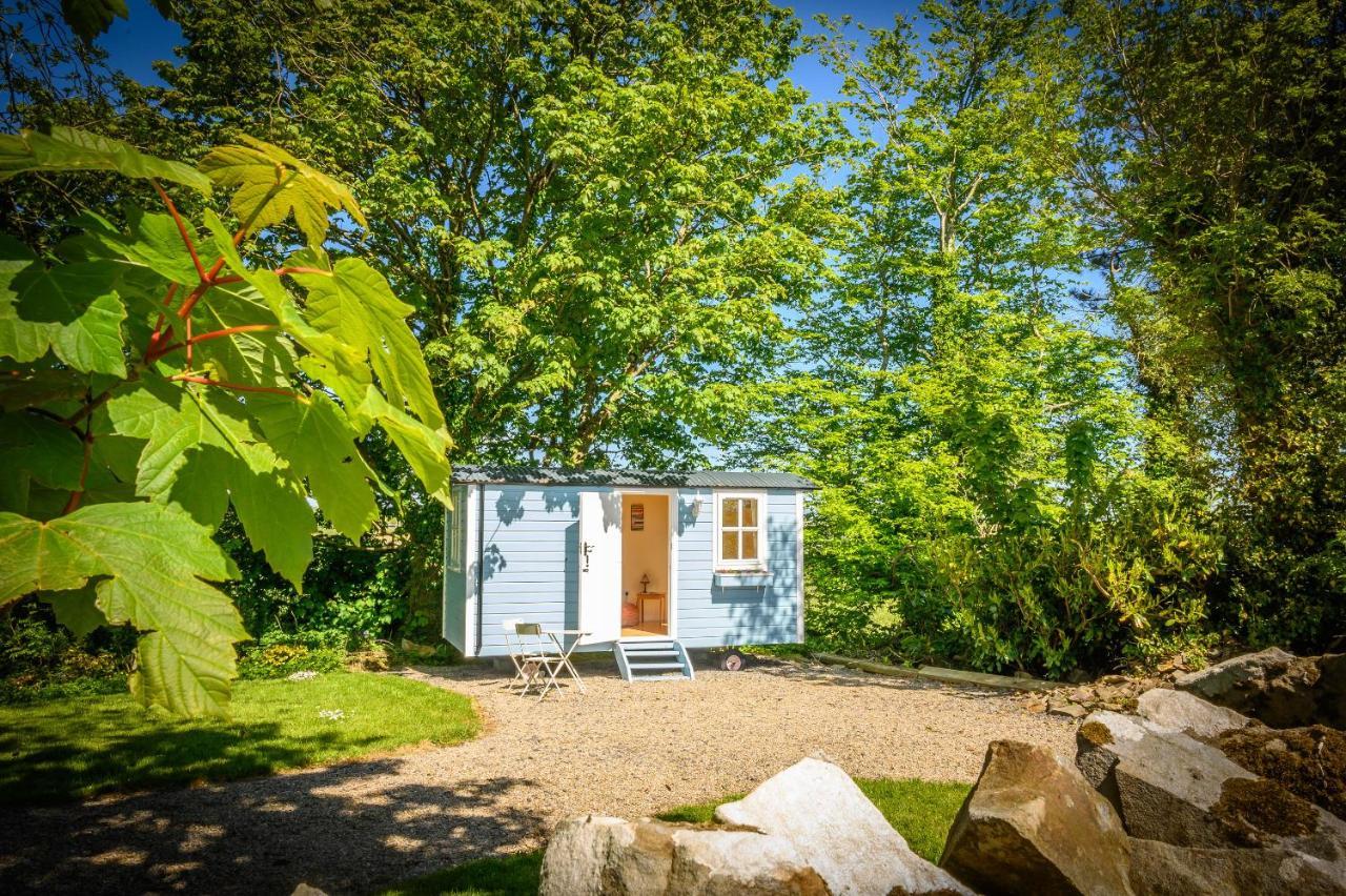 Westport Glamping At Doon Angus Farm Villa Esterno foto