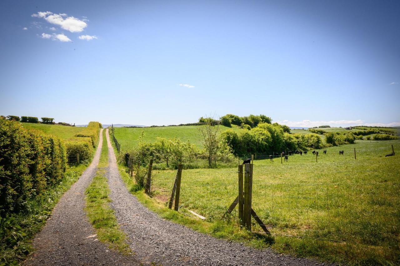 Westport Glamping At Doon Angus Farm Villa Esterno foto